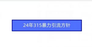 24年315暴力引流方针-一号资源库