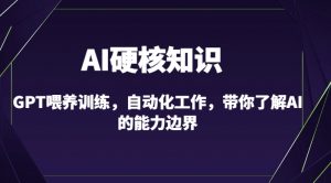 AI硬核知识-GPT喂养训练，自动化工作，带你了解AI的能力边界（10节课）-一号资源库