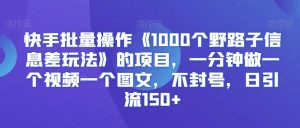 快手批量操作《1000个野路子信息差玩法》的项目，一分钟做一个视频一个图文，不封号，日引流150+【揭秘】-一号资源库