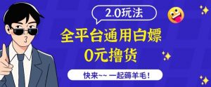 外面收费2980的全平台通用白嫖撸货项目2.0玩法【仅揭秘】-一号资源库