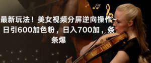 最新玩法！美女视频分屏逆向操作~日引600加色粉，日入700加，条条爆【揭秘】-一号资源库