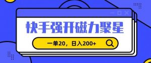 信息差赚钱项目，快手强开磁力聚星，一单20，日入200+【揭秘】-一号资源库