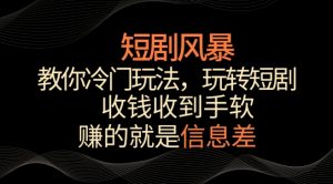 短剧风暴，教你冷门玩法，玩转短剧，收钱收到手软【揭秘】-一号资源库