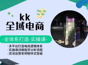 KK全域电商,全体系打造实操课,多平台打造电商逻辑体系-一号资源库