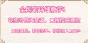 全网最详细教学，视频号蓝海赛道，口播情感视频，无需露脸，制作简单，轻松实现日入1000+【揭秘】-一号资源库