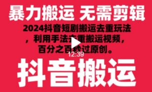 2024最新抖音搬运技术，抖音短剧视频去重，手法搬运，利用工具去重，达到秒过原创的效果【揭秘】-一号资源库