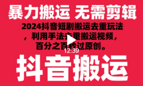 2024最新抖音搬运技术，抖音短剧视频去重，手法搬运，利用工具去重，达到秒过原创的效果【揭秘】-一号资源库