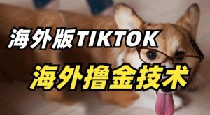 抖音海外版tiktok撸金技术，这个风口行业，赚钱真的不难【揭秘】-一号资源库