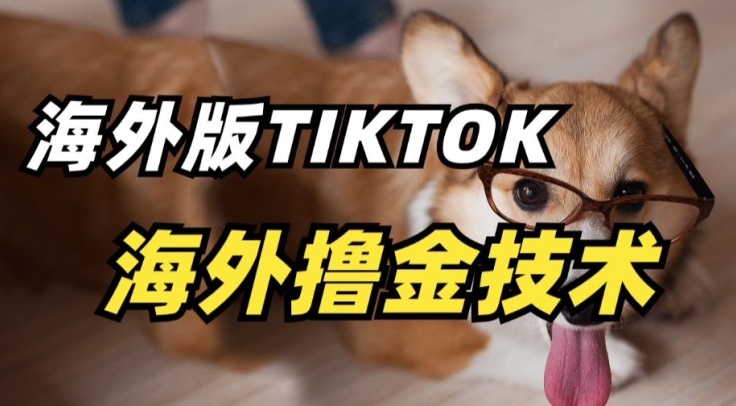 抖音海外版tiktok撸金技术，这个风口行业，赚钱真的不难【揭秘】-一号资源库
