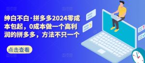 拼多多2024零成本包起，0成本做一个高利润的拼多多，方法不只一个-一号资源库