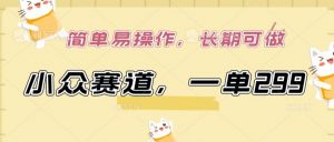 小众赛道,一单299.简单易操作,长期可做【揭秘】-一号资源库