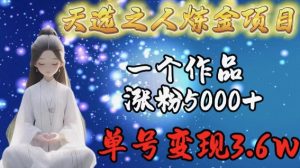 天选之人炼金项目,一个作品涨粉5000+,单号变现3.6w【揭秘】-一号资源库