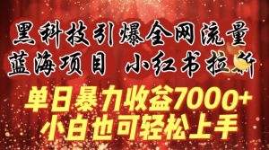 蓝海项目!黑科技引爆全网流量小红书拉新，单日暴力收益7000+，小白也能轻松上手【揭秘】-一号资源库
