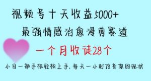 十天收益5000+，多平台捞金，视频号情感治愈漫剪，一个月收徒28个，小白一部手机轻松上手【揭秘】-一号资源库