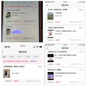 2024年3月最新,快手磁力聚星全流程实操教学,8台手机日均收益稳定100~200元【揭秘】-一号资源库