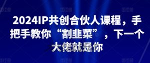 2024IP共创合伙人课程，手把手教你“割韭菜”，下一个大佬就是你-一号资源库