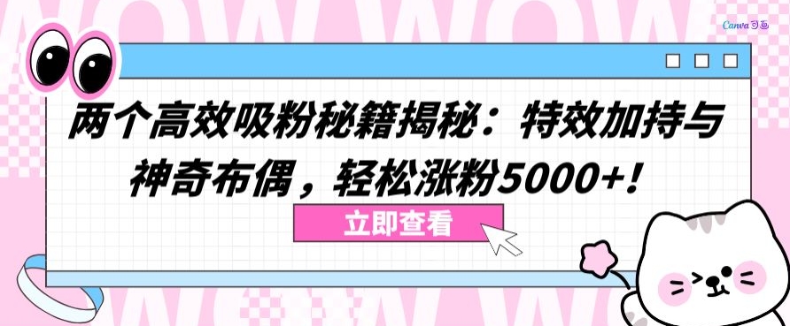 两个高效吸粉秘籍揭秘：特效加持与神奇布偶，轻松涨粉5000+【揭秘】-一号资源库