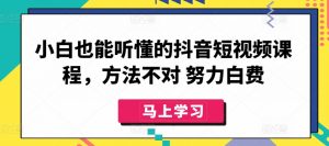 小白也能听懂的抖音短视频课程，方法不对 努力白费-一号资源库