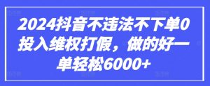2024抖音不违法不下单0投入维权打假，做的好一单轻松6000+【仅揭秘】-一号资源库
