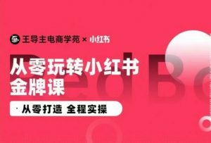 王导主·小红书电商运营实操课，​从零打造  全程实操-一号资源库