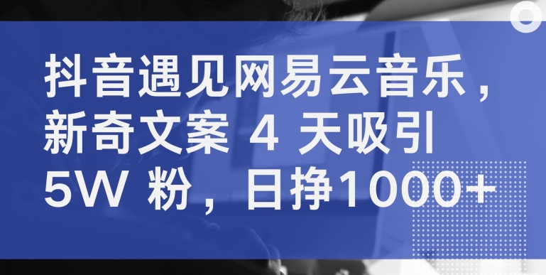 抖音遇见网易云音乐，新奇文案 4 天吸引 5W 粉，日挣1000+【揭秘】-一号资源库