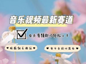 音乐视频赛道最新玩法，纯原创不违规，可所有平台同时发布，会点剪辑即可轻松拿捏【揭秘】-一号资源库