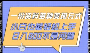 一份资料多种变现方式,小白也能轻松上手,日入800不是问题【揭秘】-一号资源库