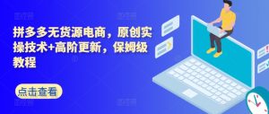拼多多无货源电商，原创实操技术+高阶更新，保姆级教程-一号资源库