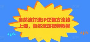 自然流打造IP正确方法线上课，自然流短视频教程-一号资源库