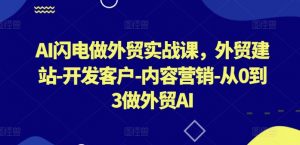 AI闪电做外贸实战课,外贸建站-开发客户-内容营销-从0到3做外贸AI-一号资源库