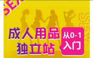 成人用品独立站从0-1入门，成品独立站运营全流程教学，七大好卖成品独立站推荐-一号资源库