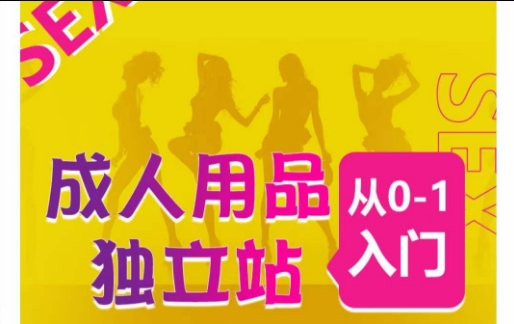 成人用品独立站从0-1入门，成品独立站运营全流程教学，七大好卖成品独立站推荐-一号资源库