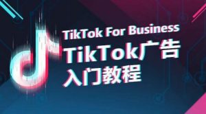 TikTok广告入门教程,从0到1掌握TikTok投放的全流程-一号资源库
