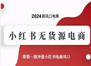 2024新风口电商，小红书无货源电商，带第一批冲进小红书电商风口-一号资源库