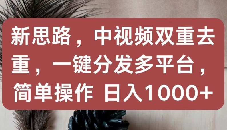 新思路，中视频双重去重，一键分发多平台，简单操作，日入1000+【揭秘】-一号资源库