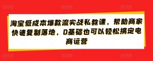 淘宝低成本爆款流实战私教课，帮助商家快速复制落地，0基础也可以轻松搞定电商运营-一号资源库