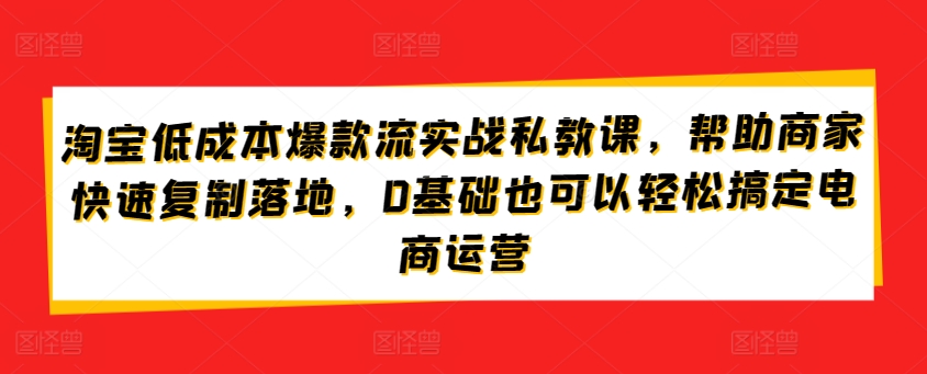淘宝低成本爆款流实战私教课，帮助商家快速复制落地，0基础也可以轻松搞定电商运营-一号资源库