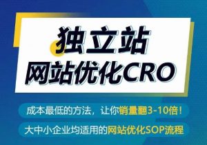 独立站网站优化CRO,成本最低的方法,让你销量翻3-10倍-一号资源库