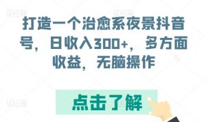 打造一个治愈系夜景抖音号，日收入300+，多方面收益，无脑操作【揭秘】-一号资源库