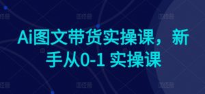 Ai图文带货实操课，新手从0-1 实操课-一号资源库
