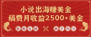 小说出海赚美金，稿费月收益2500+美金，仅需chatgpt粘贴复制，新手也能玩转【揭秘】-一号资源库