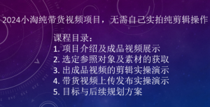 2024小淘纯带货视频项目，无需自己实拍纯剪辑操作-一号资源库