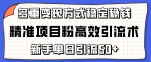 精准项目粉高效引流术，新手单日引流50+，多重变现方式稳定赚钱【揭秘】-一号资源库