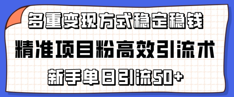 精准项目粉高效引流术，新手单日引流50+，多重变现方式稳定赚钱【揭秘】-一号资源库