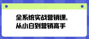 全系统实战营销课，从小白到营销高手-一号资源库