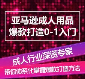 亚马逊成人用品爆款打造0-1入门，系统化讲解亚马逊成人用品爆款打造的流程-一号资源库