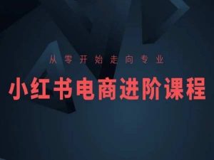 从零开始走向专业，小红书电商进阶课程-一号资源库