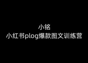 小铭-小红书plog爆款图文训练营，教你从0-1做小红书-一号资源库