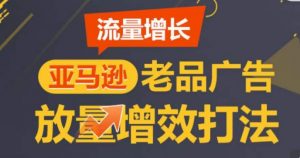 亚马逊流量增长-老品广告放量增效打法,循序渐进,打造更多TOP listing-一号资源库