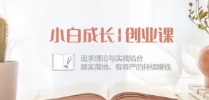 小白成长创业课:追求理论与实践结合,踏实落地,有尊严的持续赚钱-42节-一号资源库